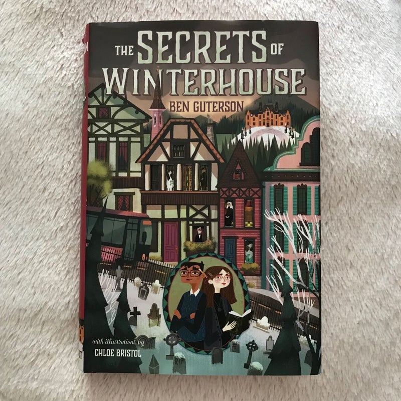 The Secrets of Winterhouse