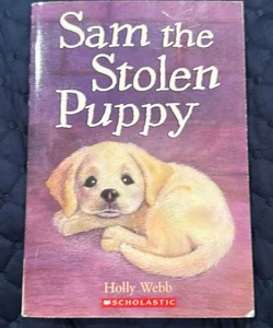 Sam the stolen puppy 