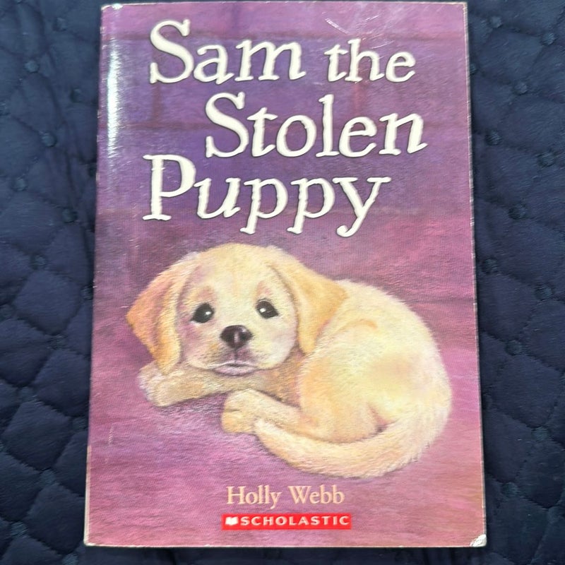 Sam the stolen puppy 