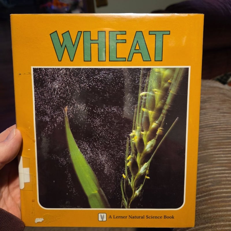 Wheat