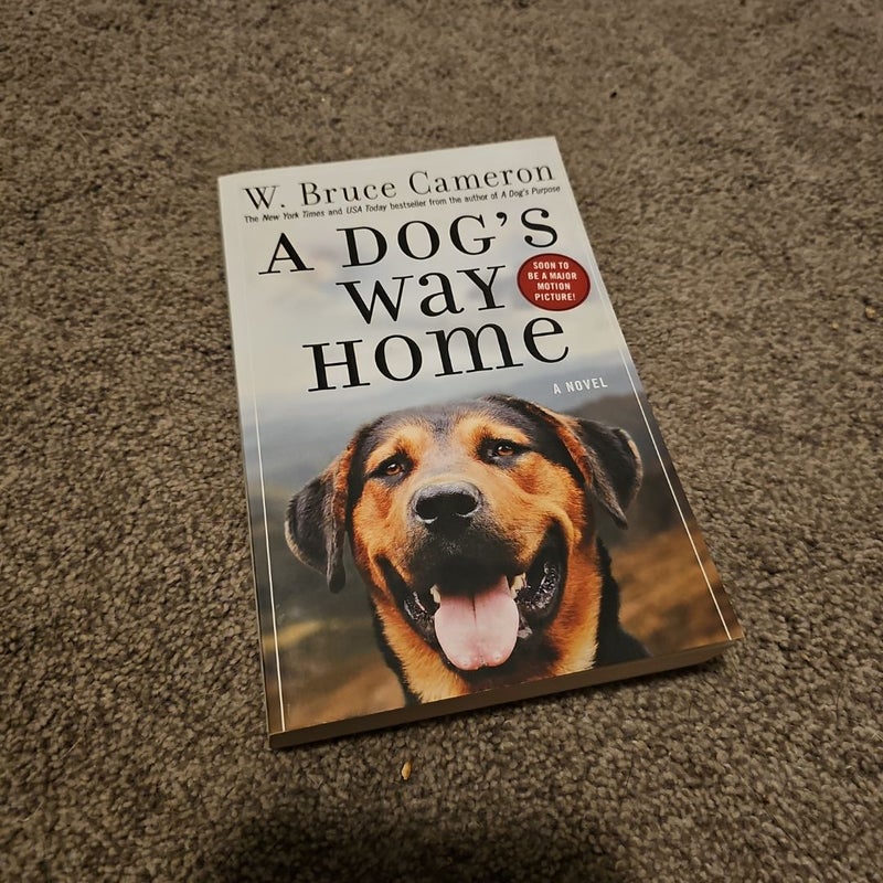 A Dog's Way Home