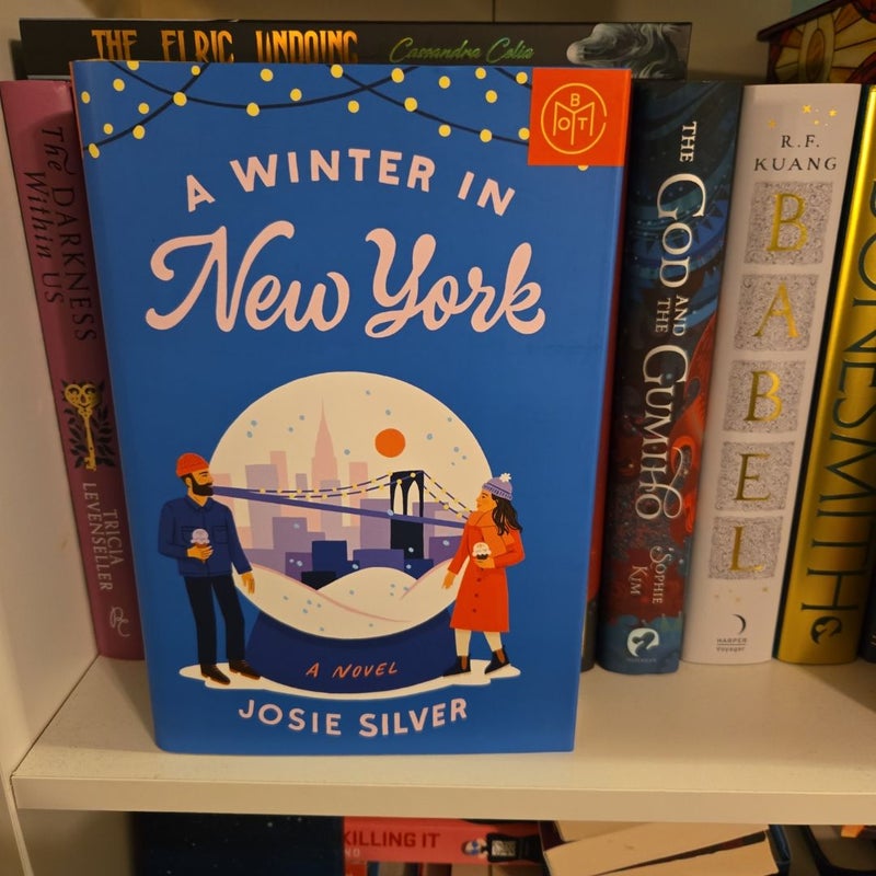 A Winter in New York