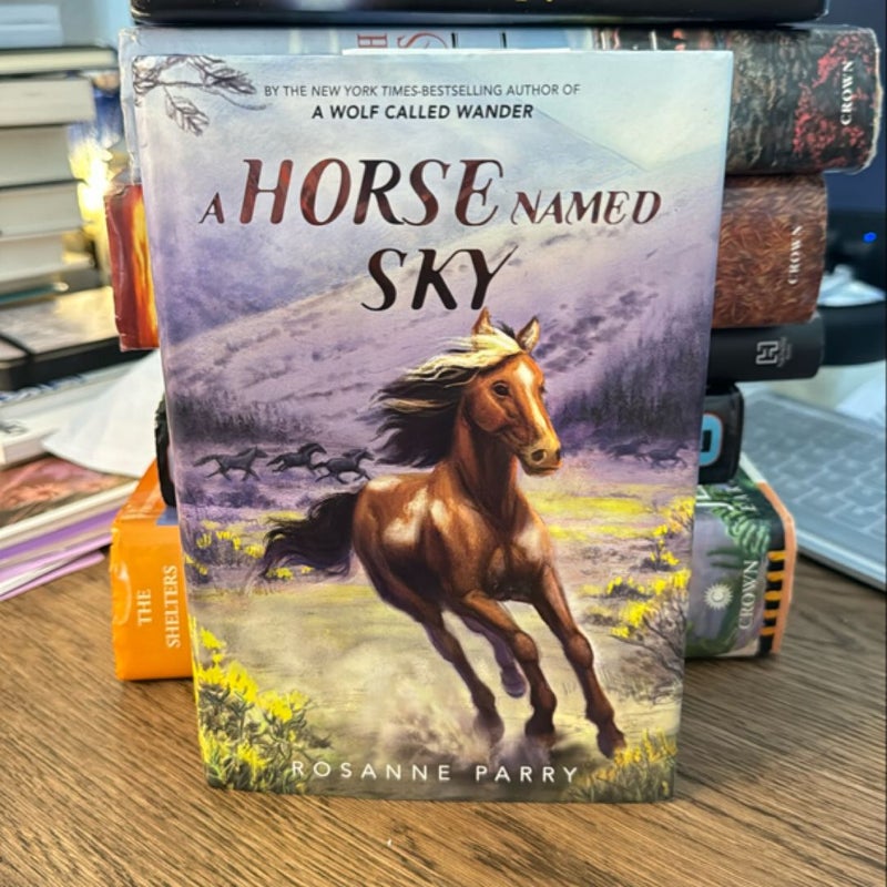 A Horse Named Sky