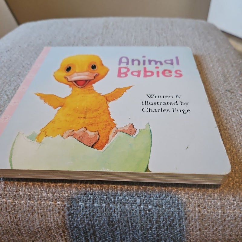 Animal Babies