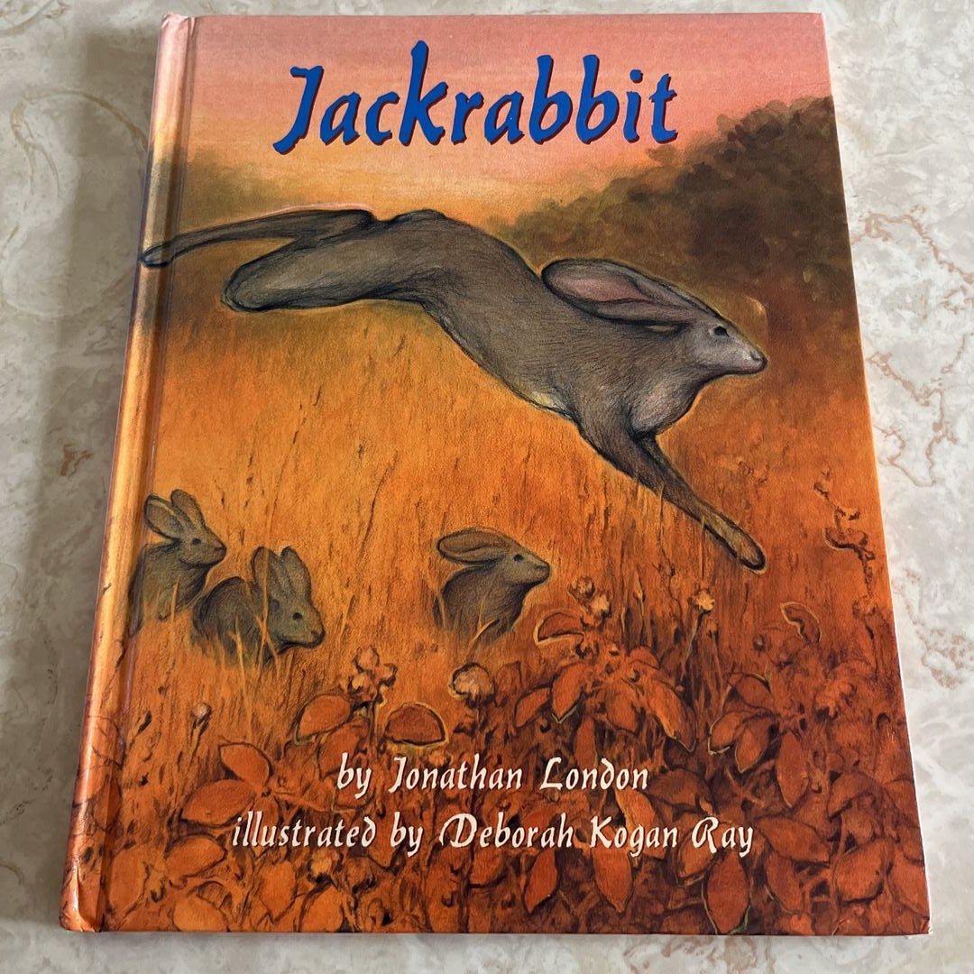 Jackrabbit