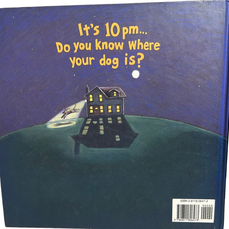 The Night I Followed the Dog