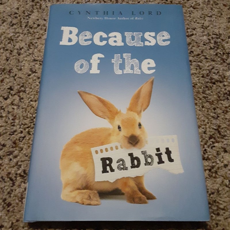 Because of the Rabbit (Scholastic Gold)