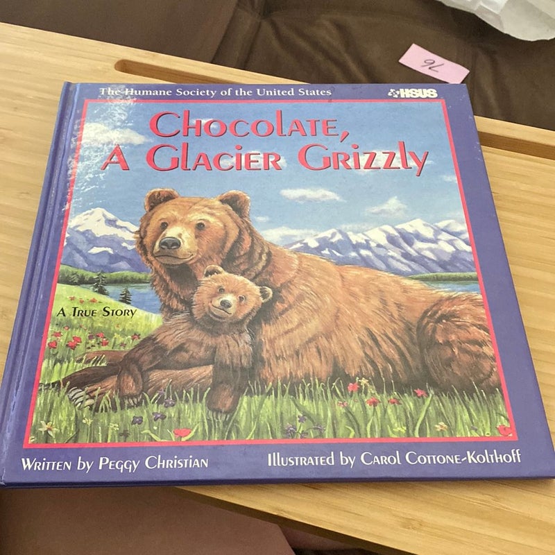 Chocolate, a Glacier Grizzly
