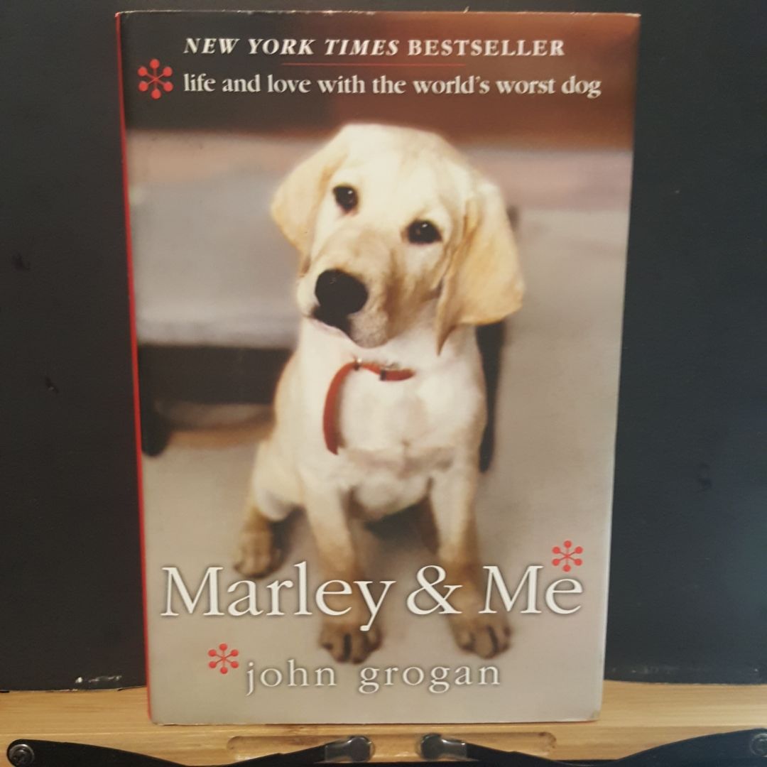 Sale image for 84ebe0f5-62eb-4571-a7f4-161ccafd33fe-dzVYwXetNGUzWAasttlFzgTNBjt2