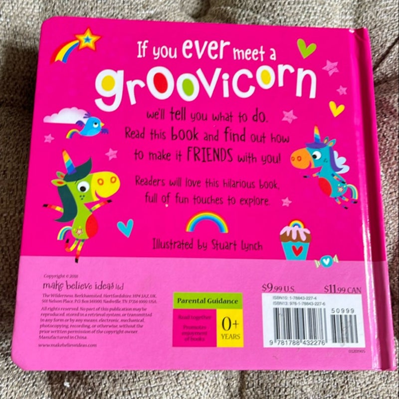 If You Ever Meet a Groovicorn