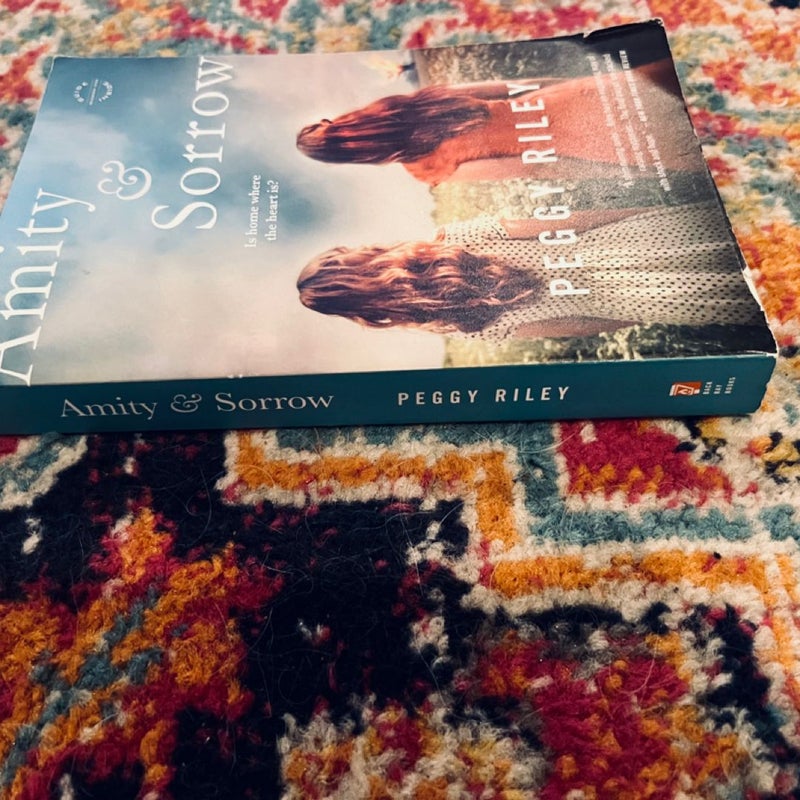 Amity and Sorrow : A Novel by Peggy Riley (2014, Trade Paperback)
