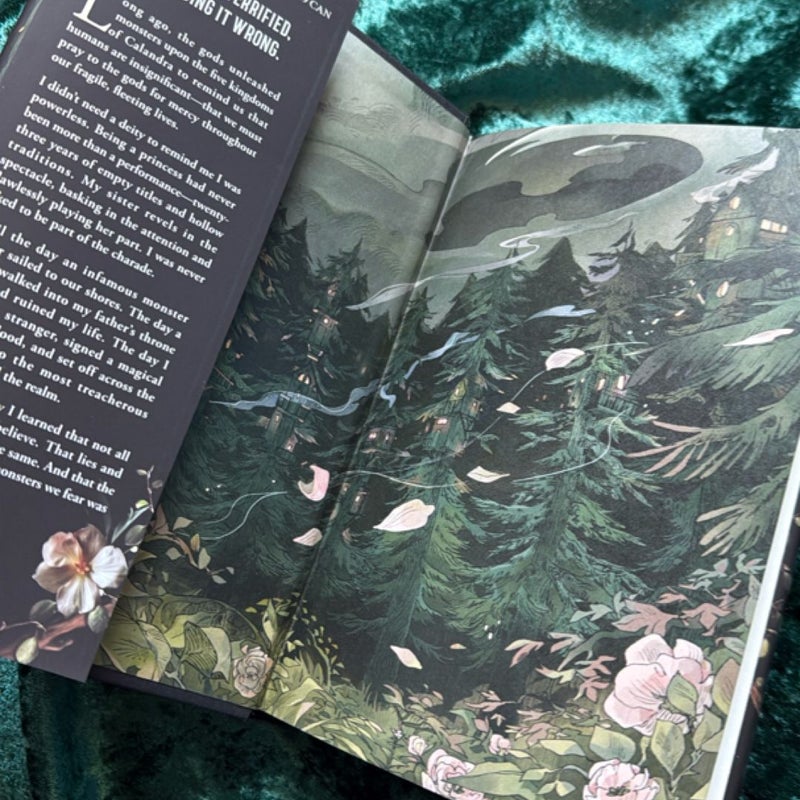 Shield of Sparrows *SIGNED* (Deluxe Limited Edition) 