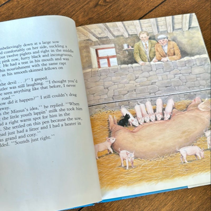 James Herriot's Treasury for Children