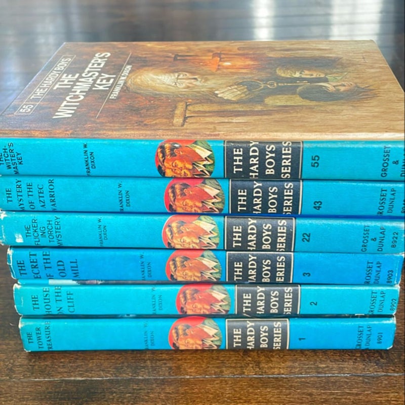 The Hardy Boys lot