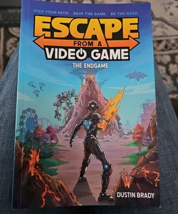 Escape From A Video Game. The Endgame