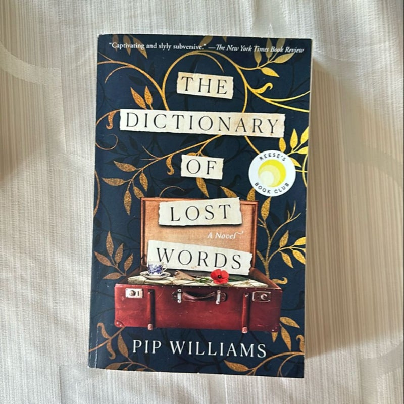 The Dictionary of Lost Words