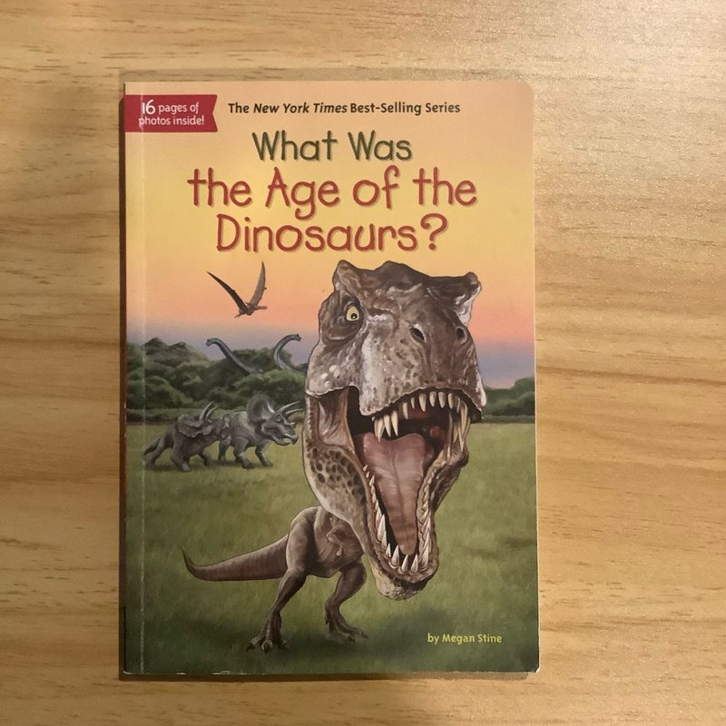 What Was the Age of the Dinosaurs?