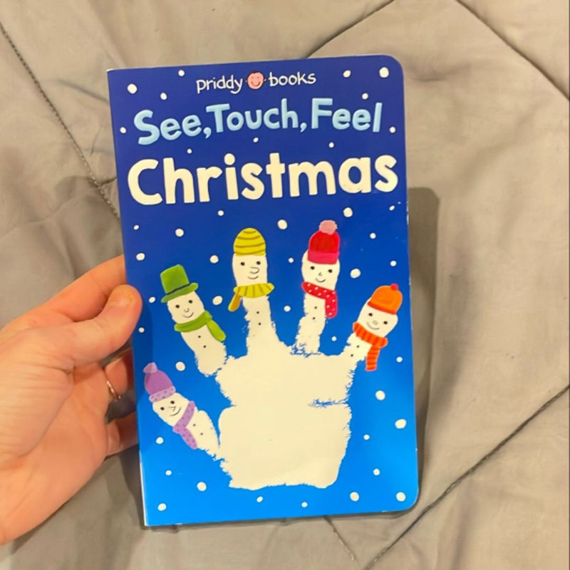 See, Touch, Feel: Christmas