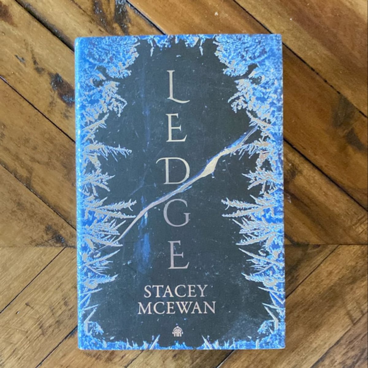 Ledge by Stacey McEwan, Hardcover Pangobooks