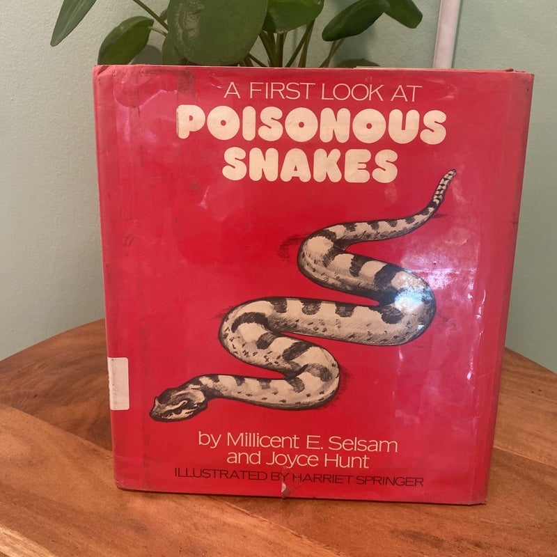 A First Look At Poisonous Snakes 