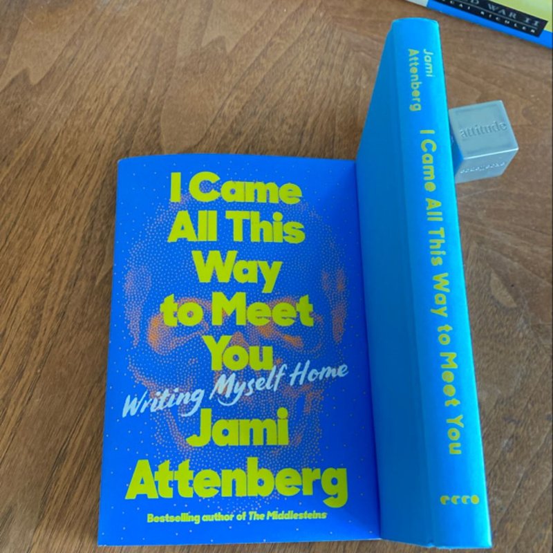 I Came All This Way to Meet You