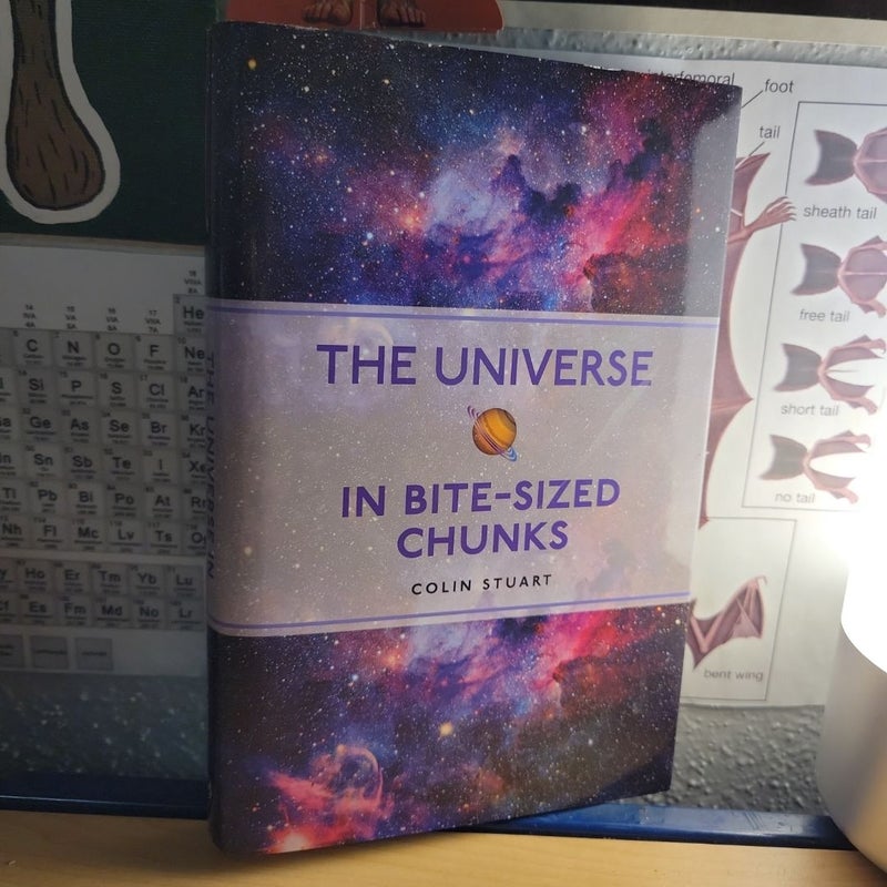 The Universe in Bite-Sized Chunks