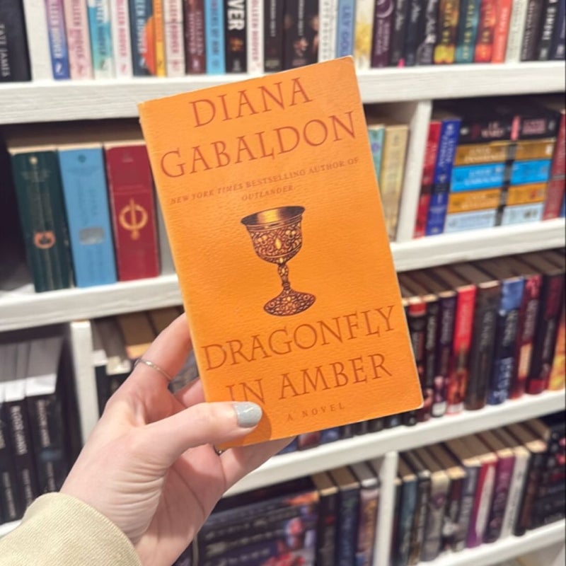 Dragonfly in Amber