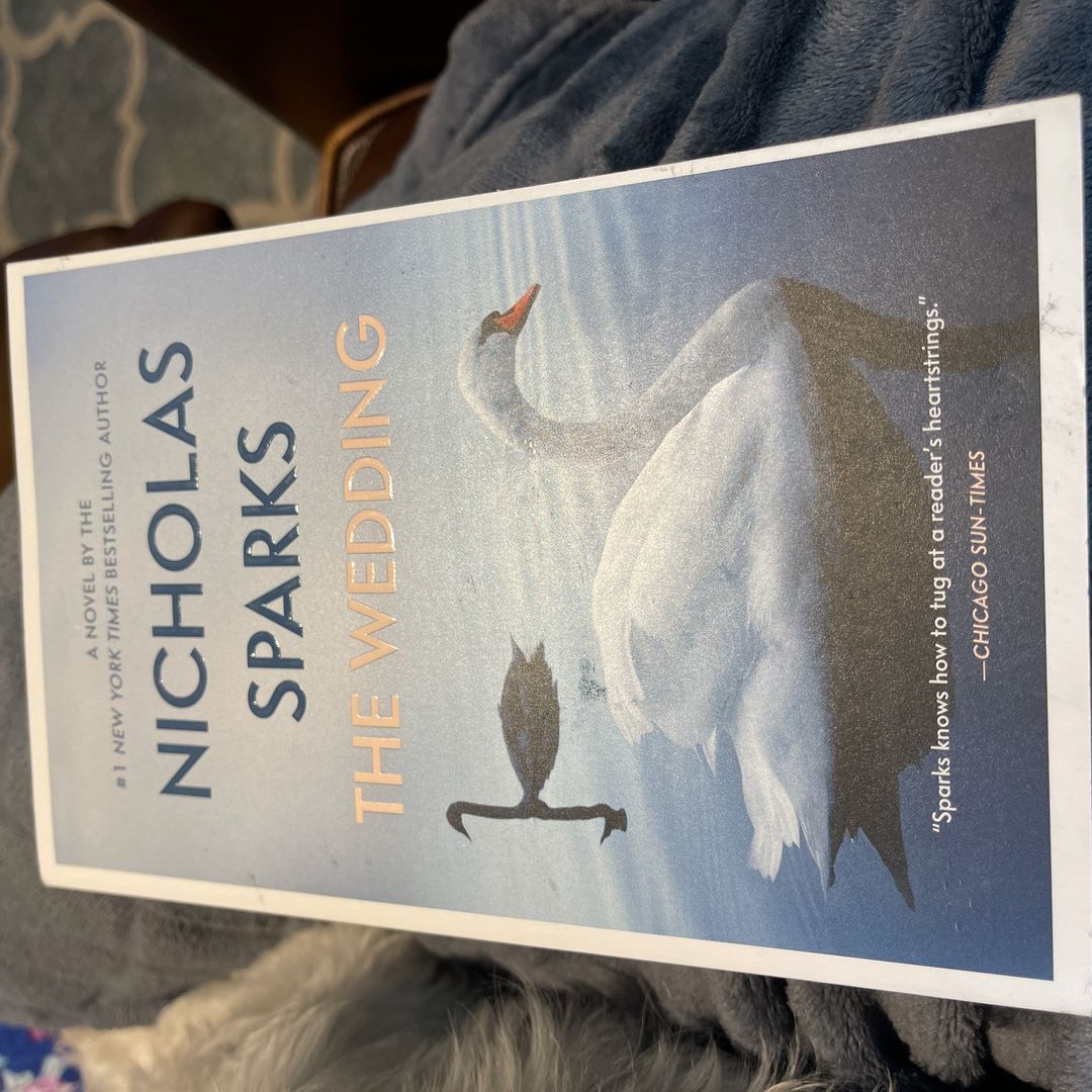 Sale image for e34111d8-875a-4b67-83ed-223dc8424c90-xT3SyoRur7Yz9dhBt8PIYm6JSVk2