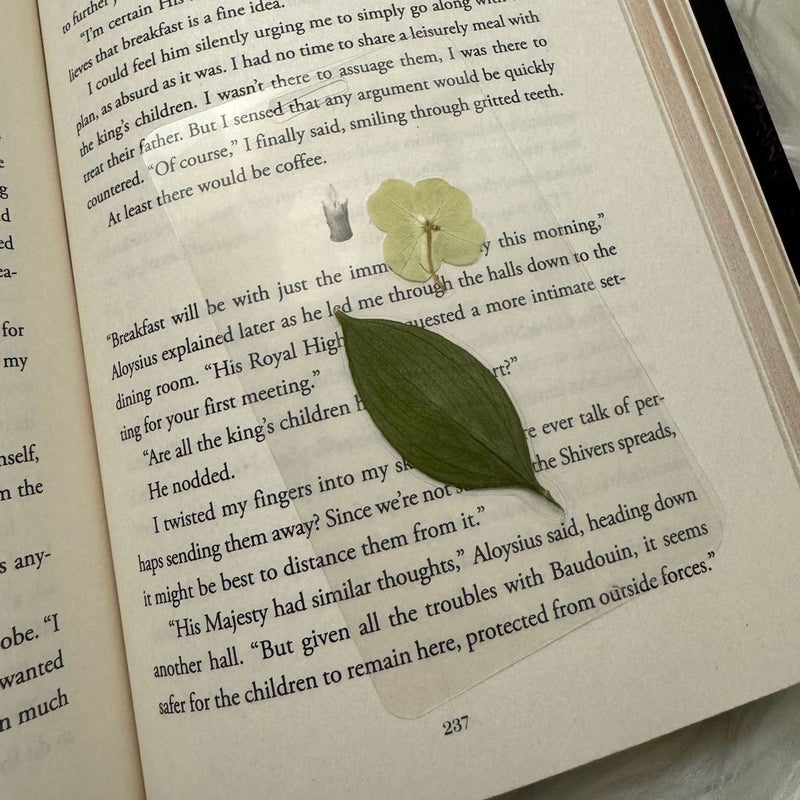 Real flower window bookmark. 