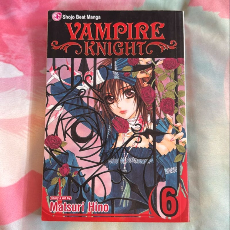 Vampire Knight, Vol. 6