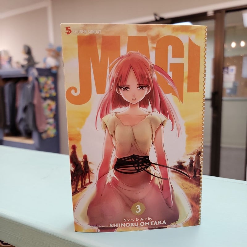 Magi: the Labyrinth of Magic, Vol. 3