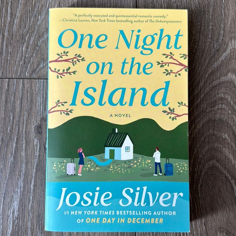 One Night on the Island