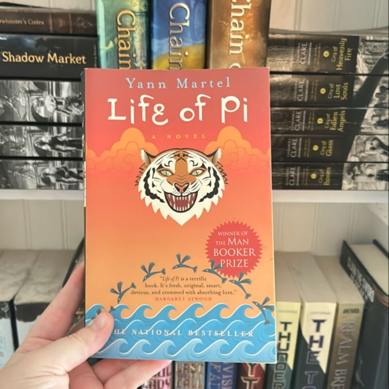 Life of Pi