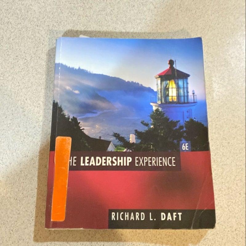 The Leadership Experience