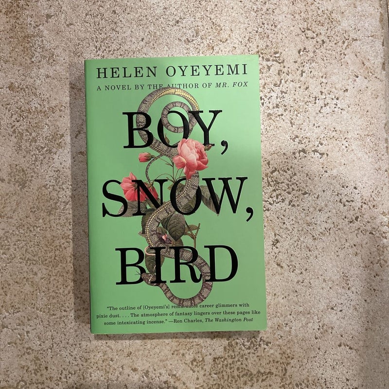 Boy, Snow, Bird