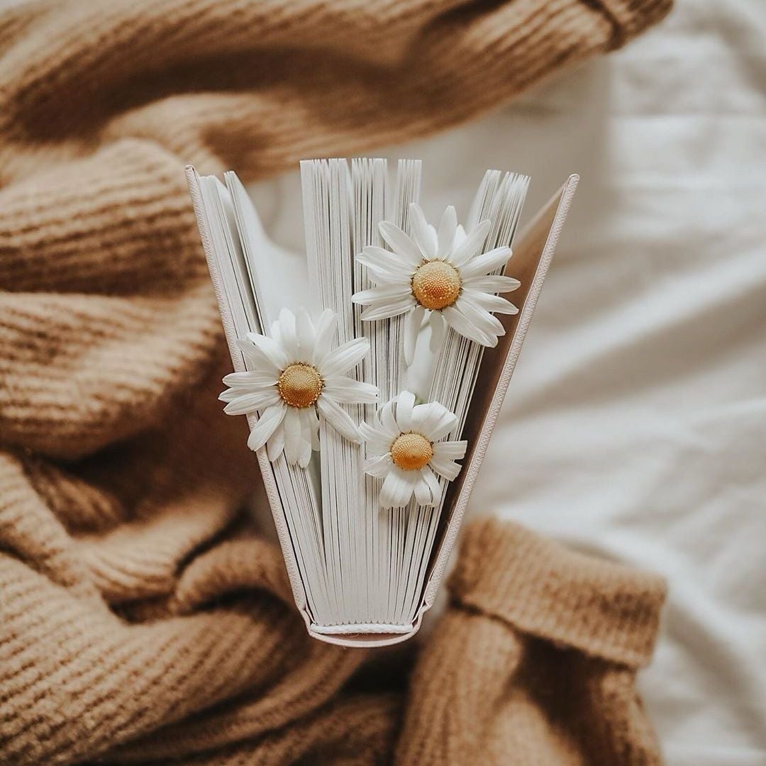 Bookshelf Lattes