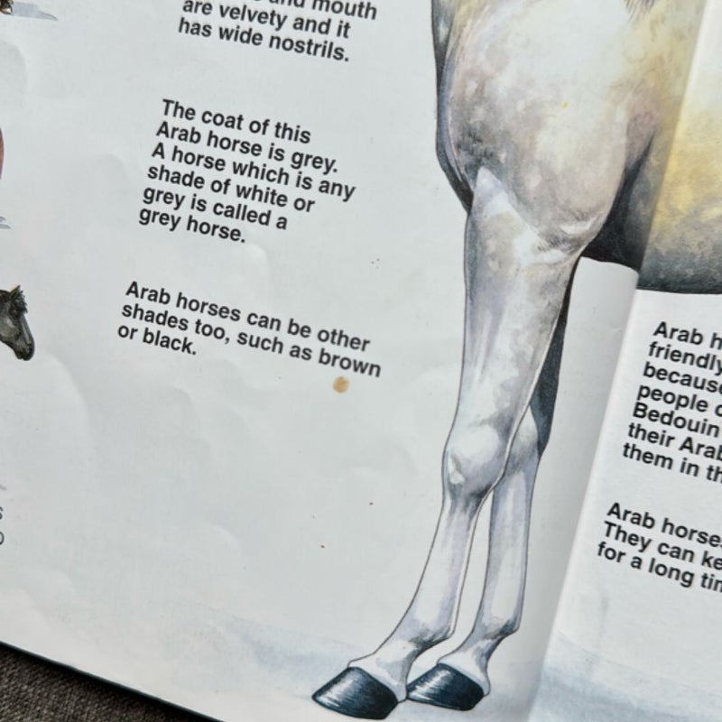 The Usborne Book of Horses & Ponies