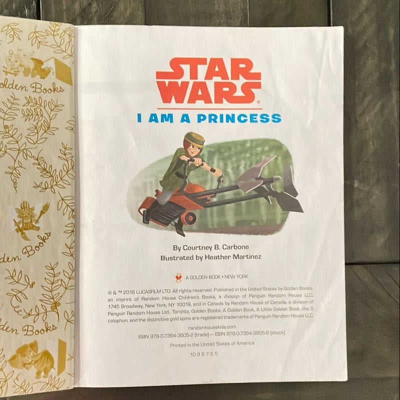 I Am a Princess (Star Wars)