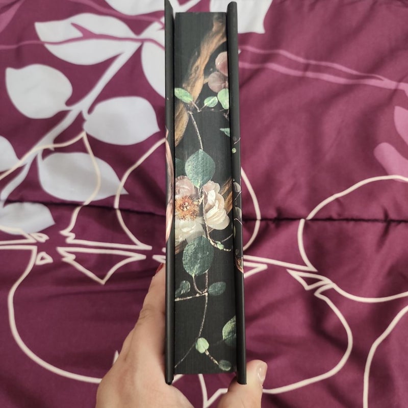 Shield of Sparrows handsigned walmart (Deluxe Limited Edition)