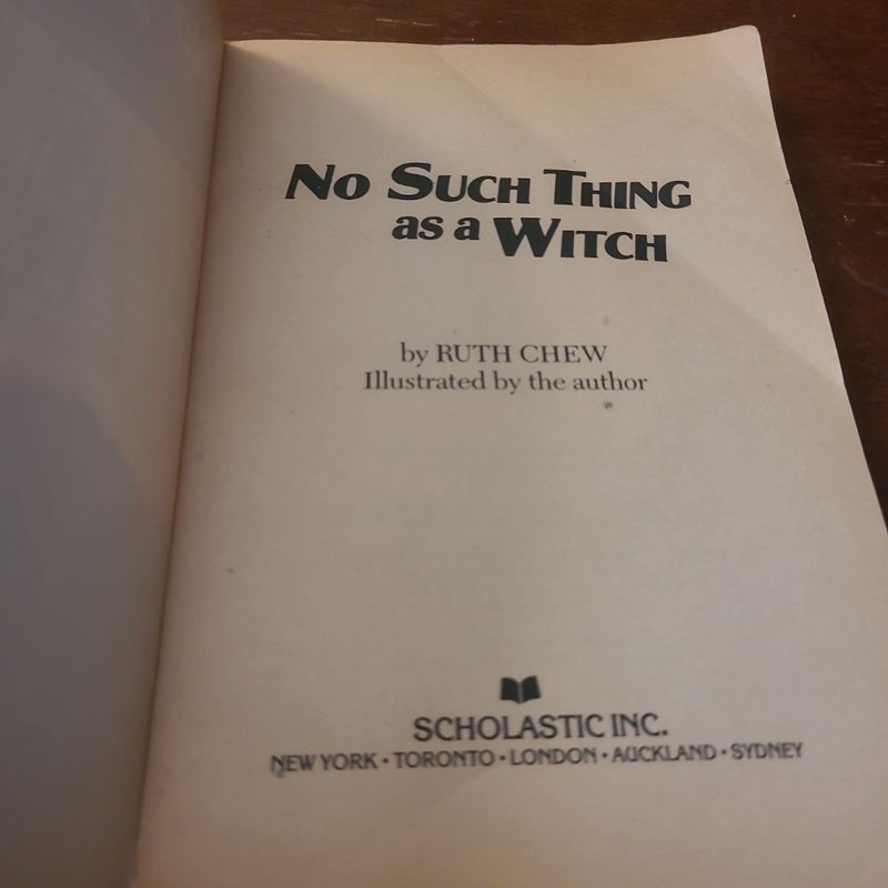 A Matter-Of-Fact Magic Book: No Such Thing As a Witch