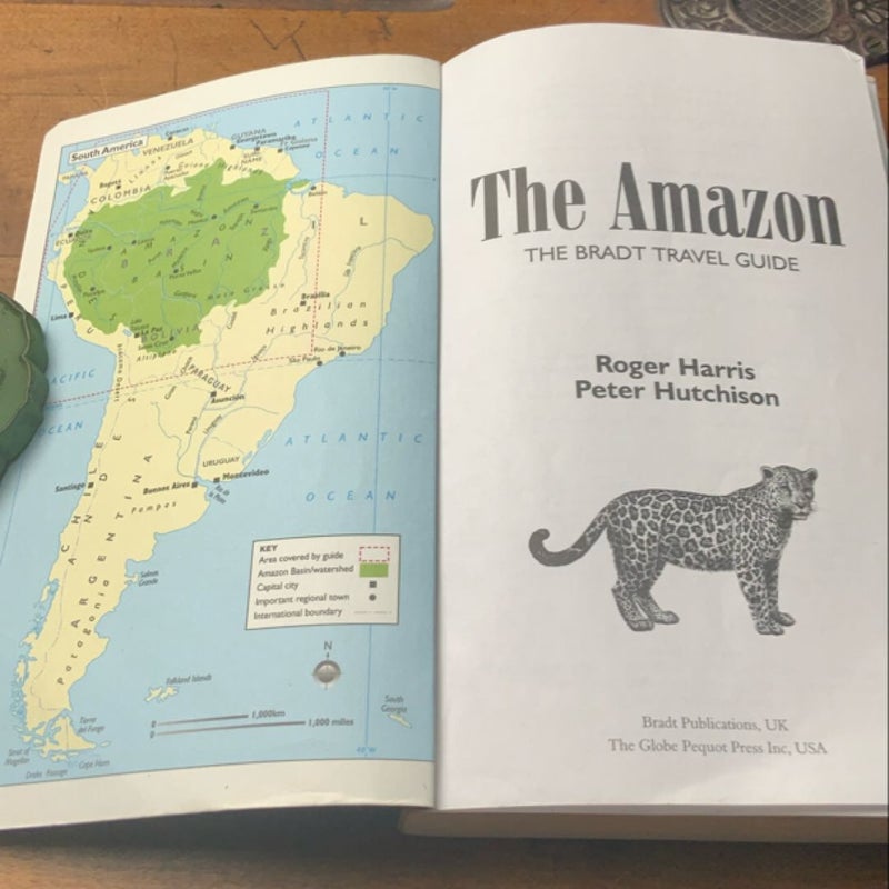 The Amazon 