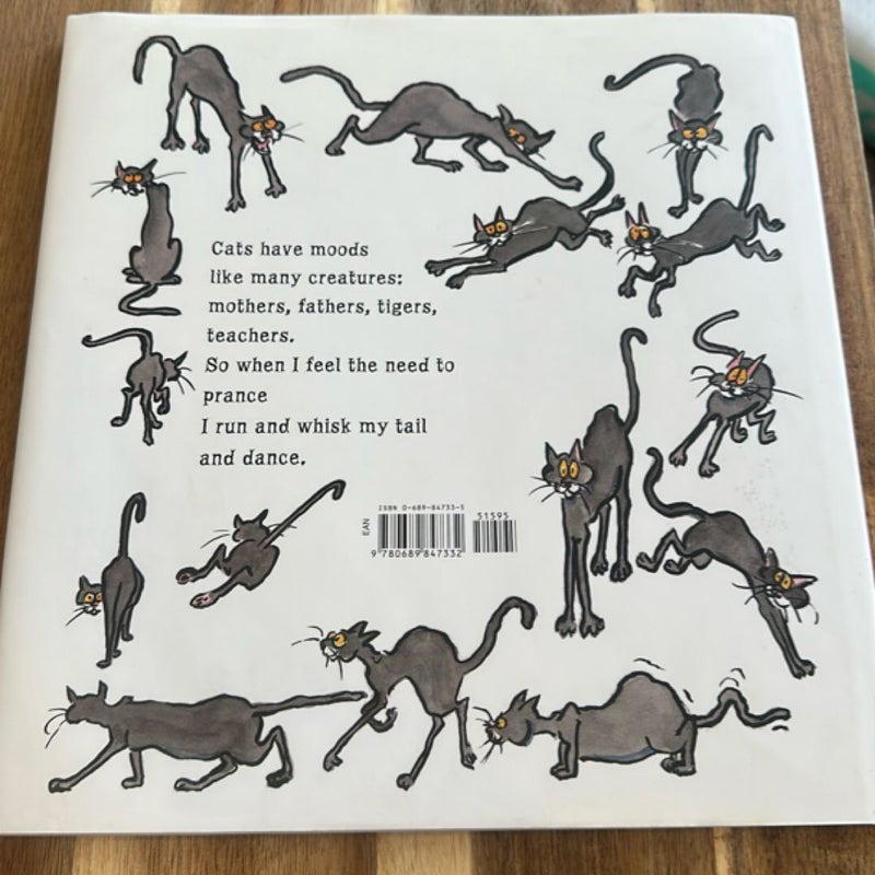 So, What's It Like to Be a Cat?