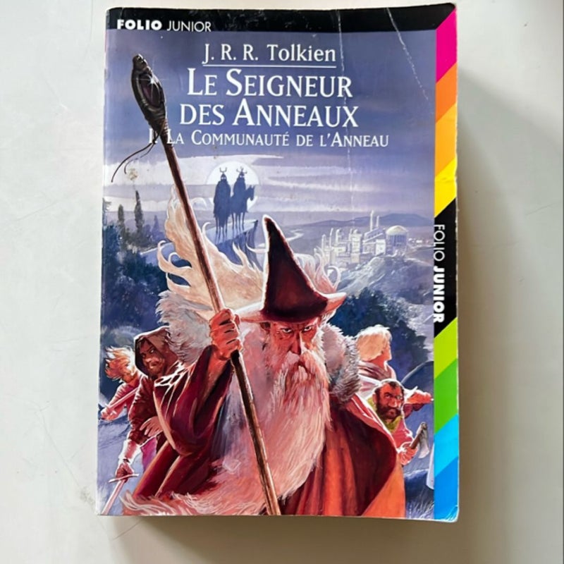 Le Seigneur des Anneaux. La communauté de l’anneaux 