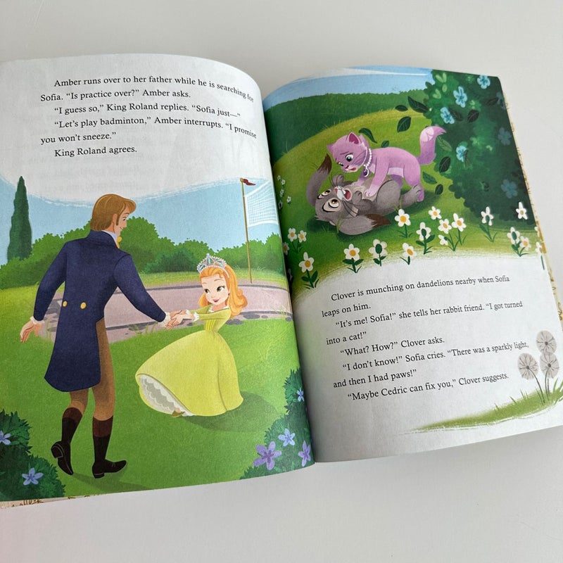 Sofia the First: When You Wish Upon a Well, Little Golden Book