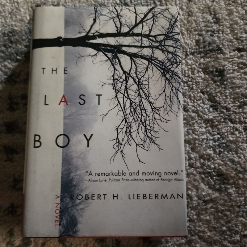 The Last Boy