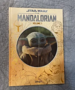 Star Wars: the Mandalorian