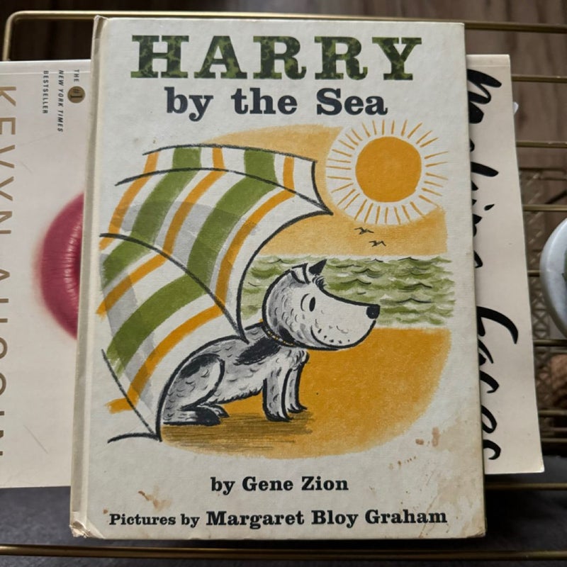 Harry by The Sea 