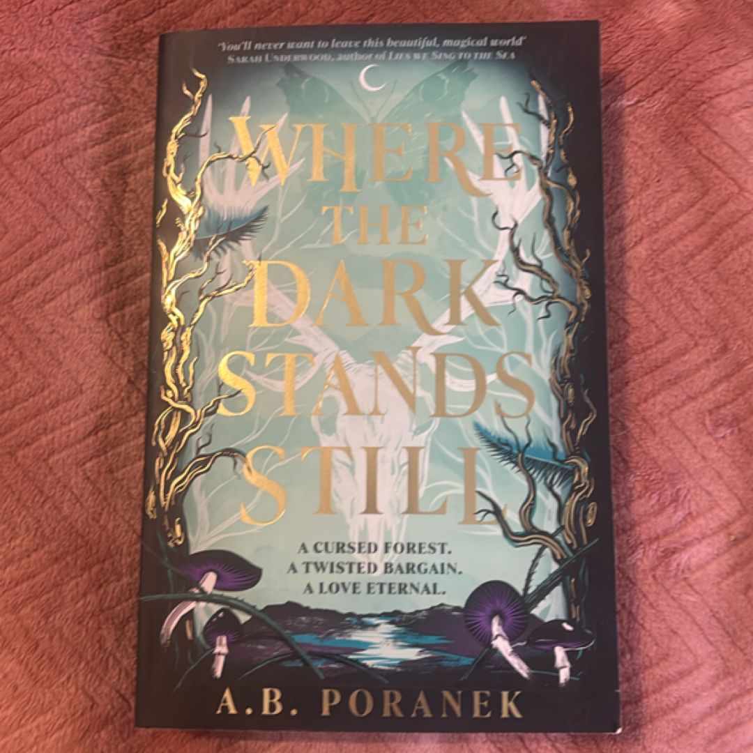 Where the Dark Stands Still