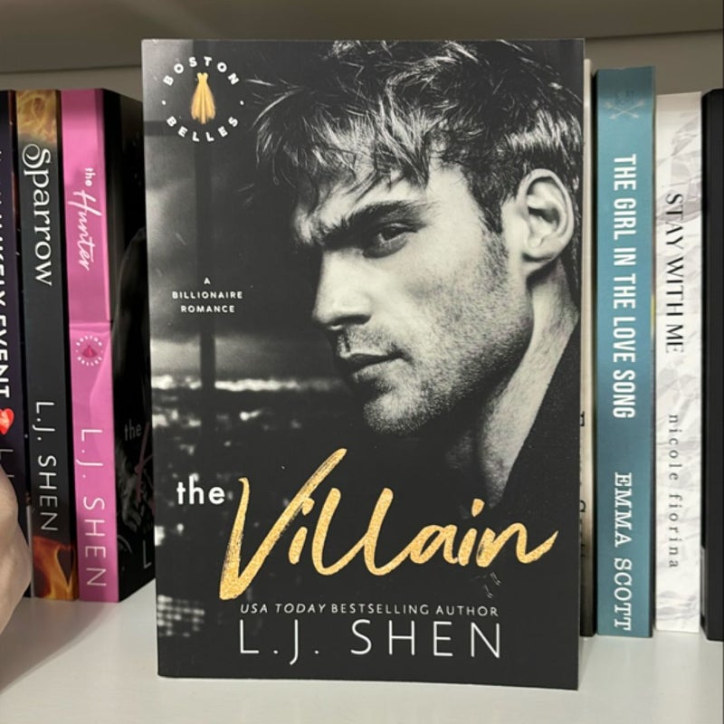 The Villain: a Billionaire Romance