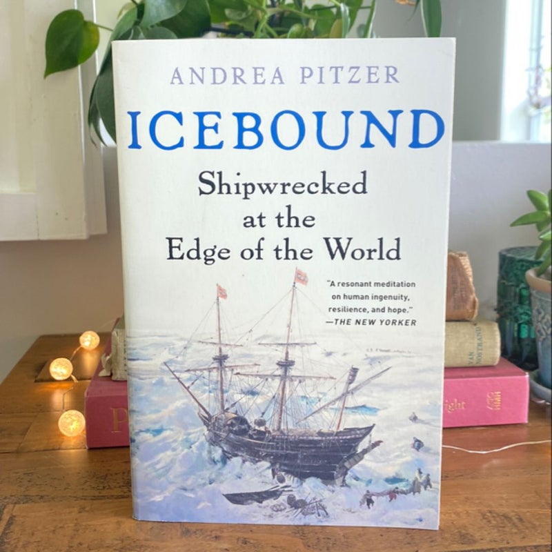 Icebound: Shipwrecked at the Edge of the World